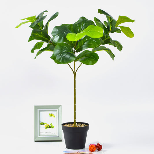 Noordse Stijl Potplanten En Groene Planten Voor Hu decoration