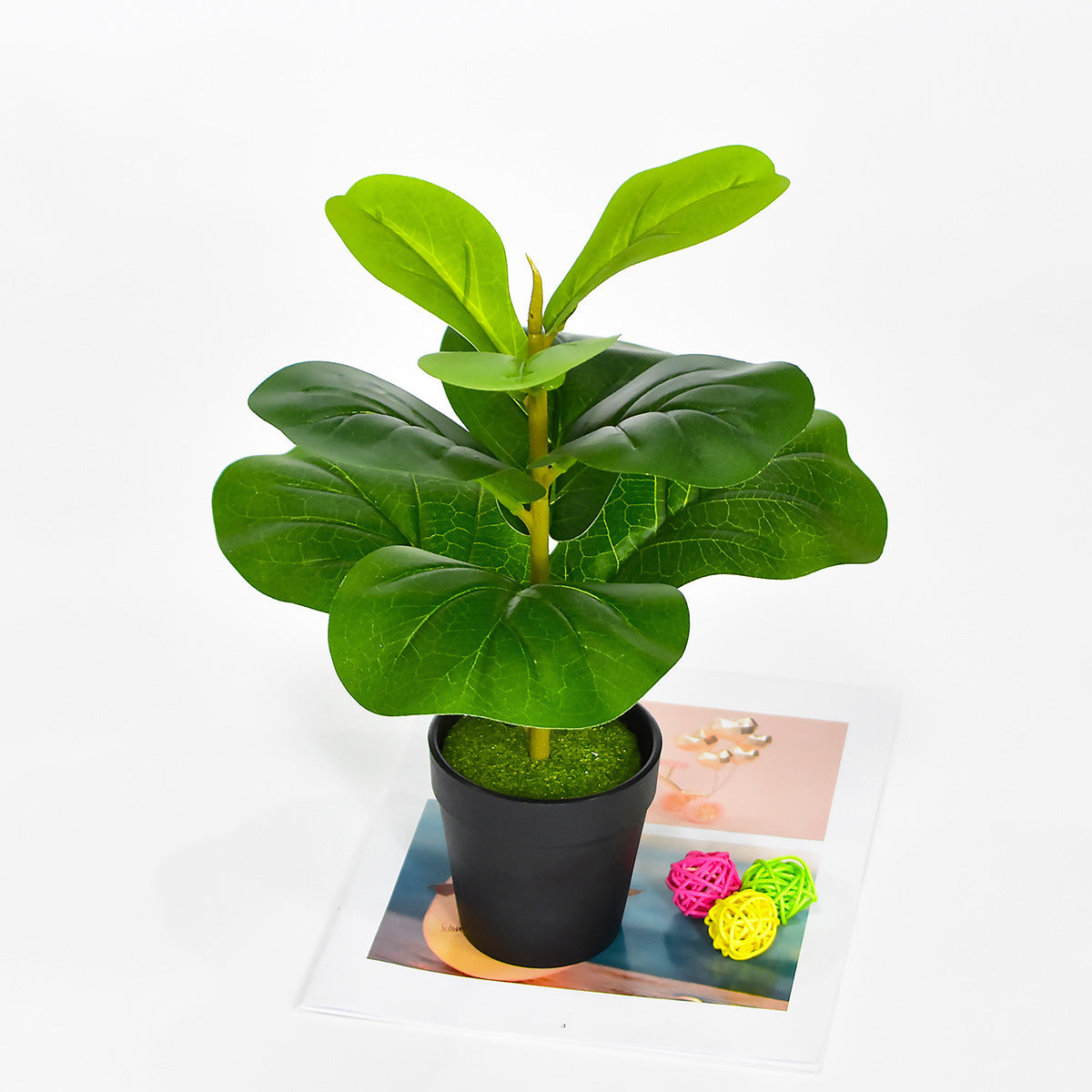 Noordse Stijl Potplanten En Groene Planten Voor Hu decoration