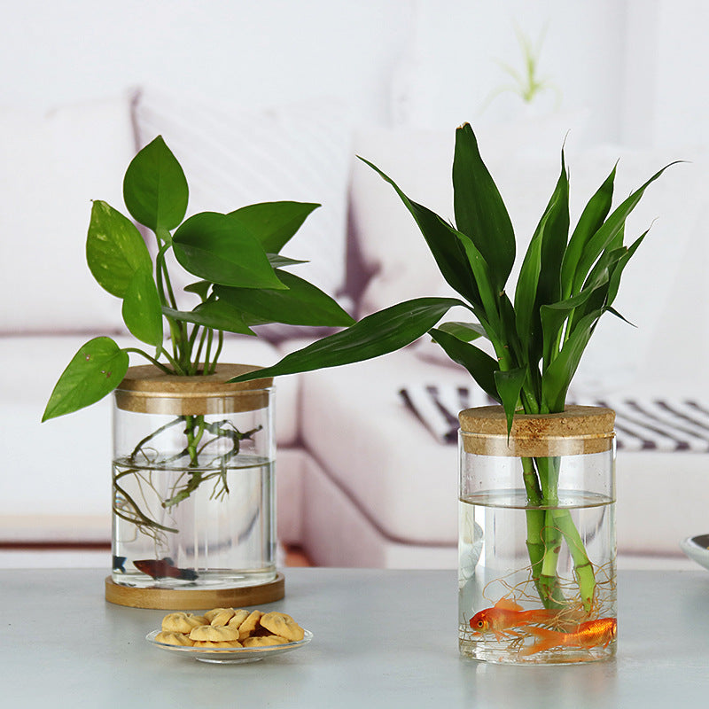 Binnen Groene Planten Decoratie Glazen Fles Voor Hydroponische Planten