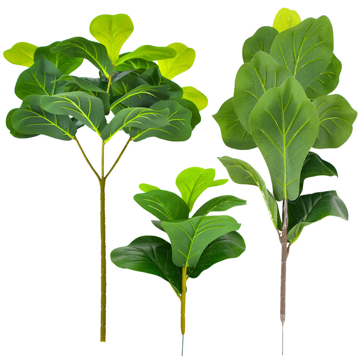 Noordse Stijl Potplanten En Groene Planten Voor Hu decoration