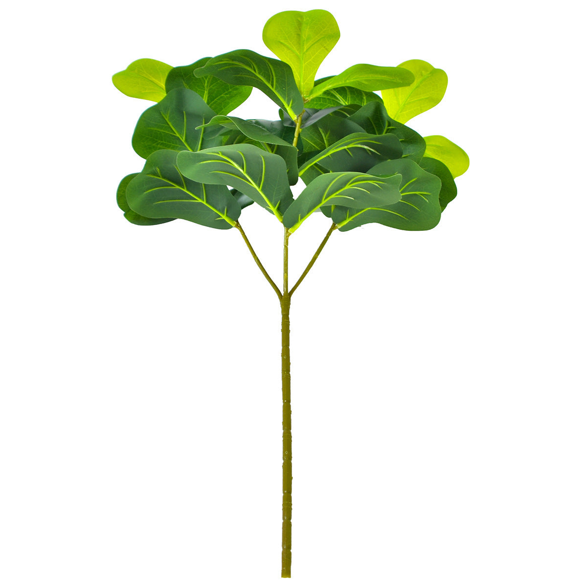 Noordse Stijl Potplanten En Groene Planten Voor Hu decoration