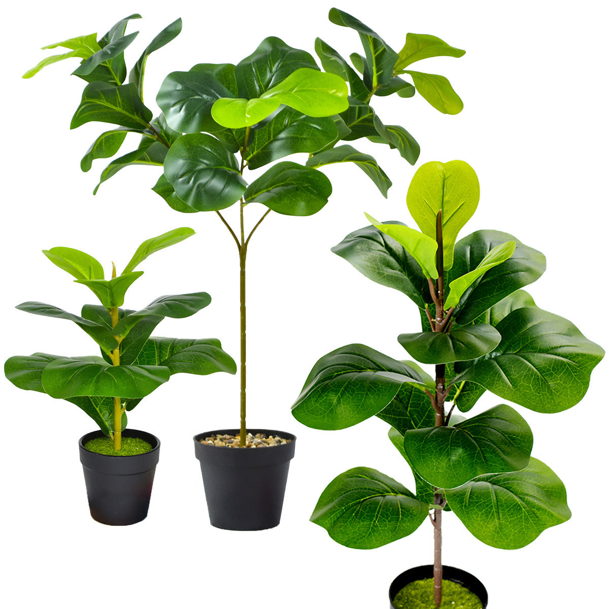 Noordse Stijl Potplanten En Groene Planten Voor Hu decoration
