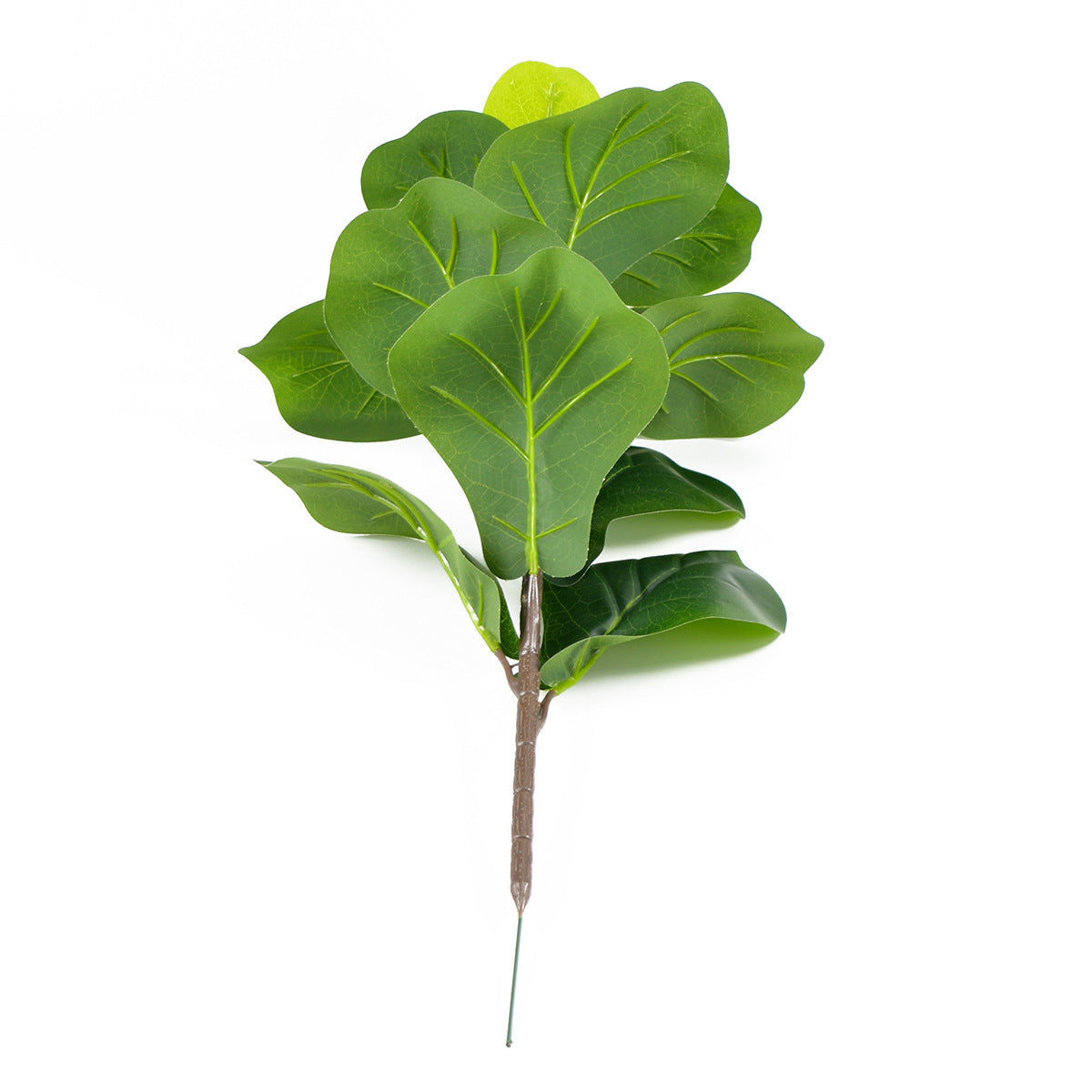 Noordse Stijl Potplanten En Groene Planten Voor Hu decoration