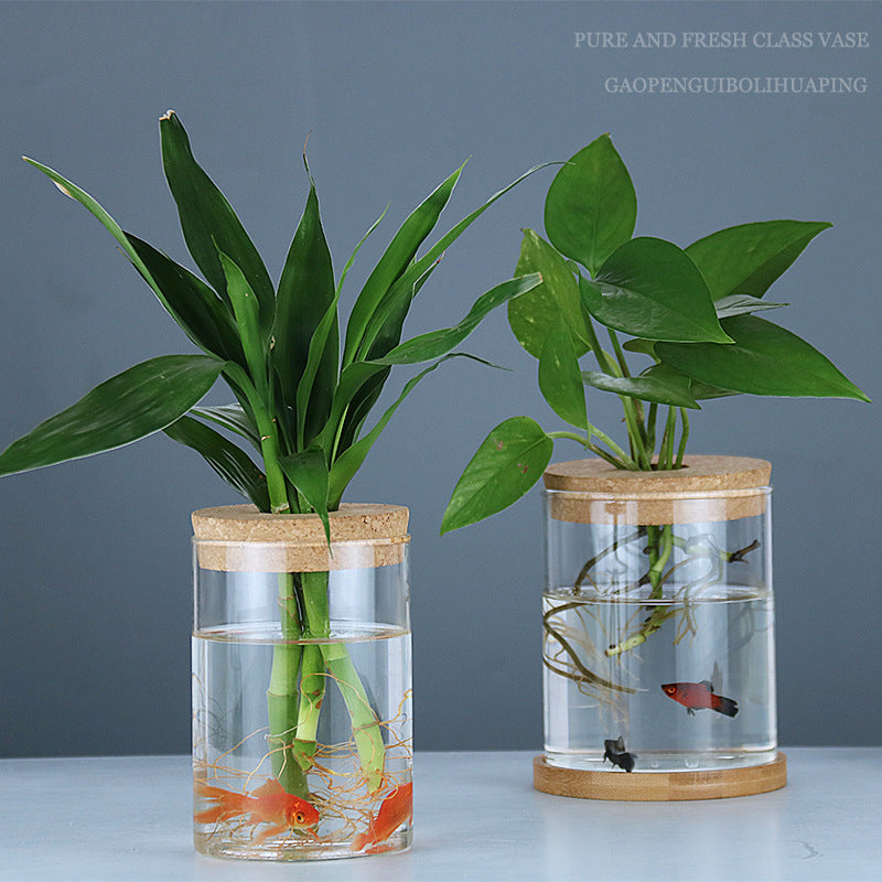 Binnen Groene Planten Decoratie Glazen Fles Voor Hydroponische Planten