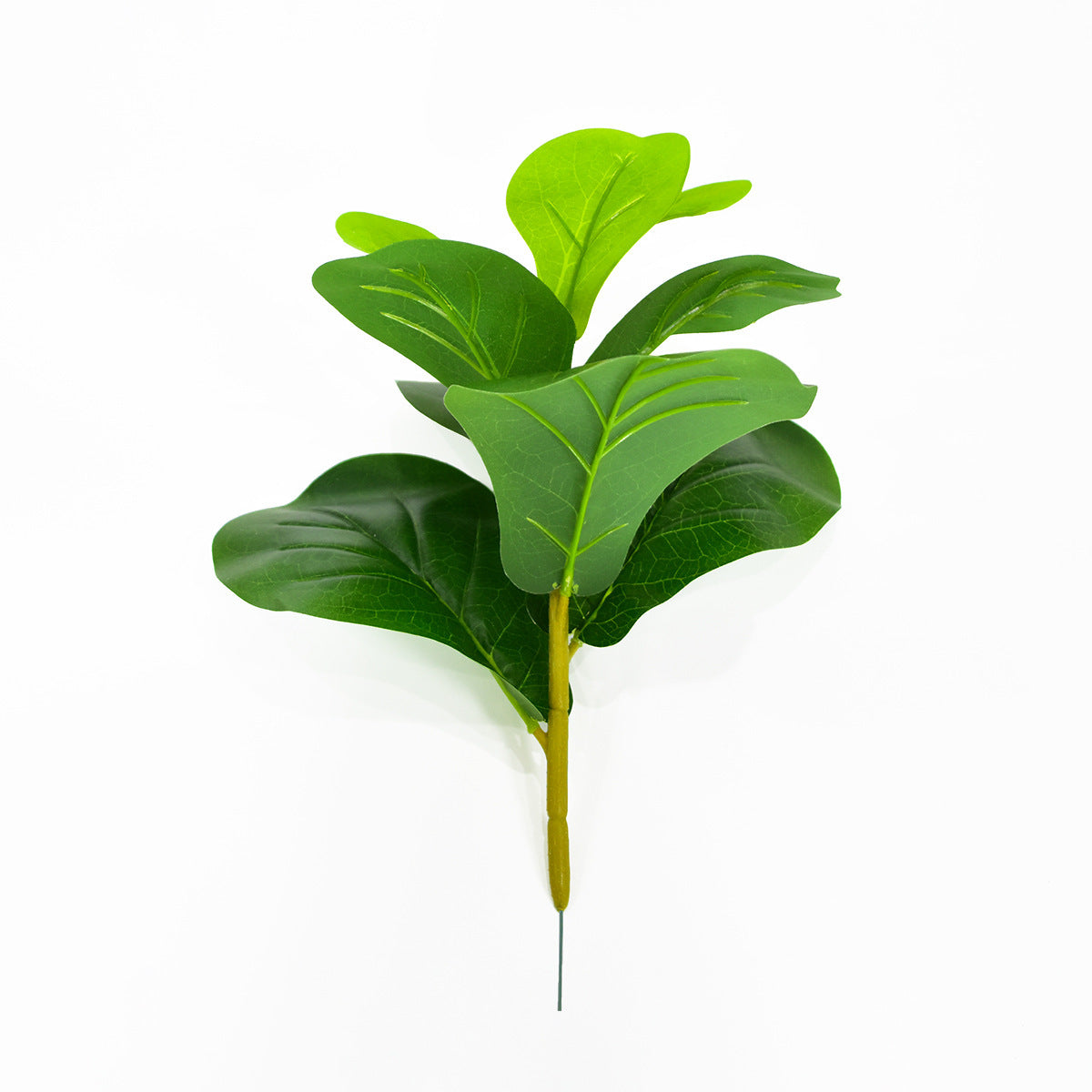 Noordse Stijl Potplanten En Groene Planten Voor Hu decoration
