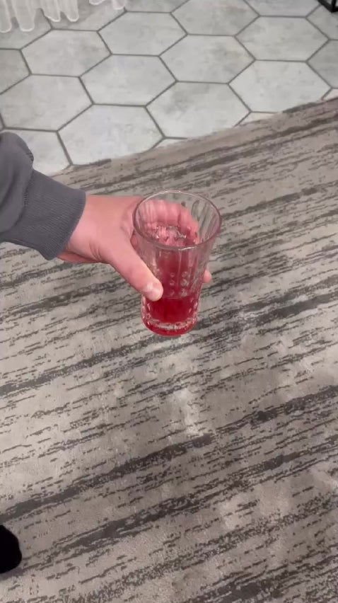 Homecuriosity Tapijtreiniger PRO 800W