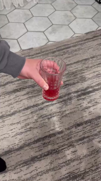 Homecuriosity Tapijtreiniger PRO 800W